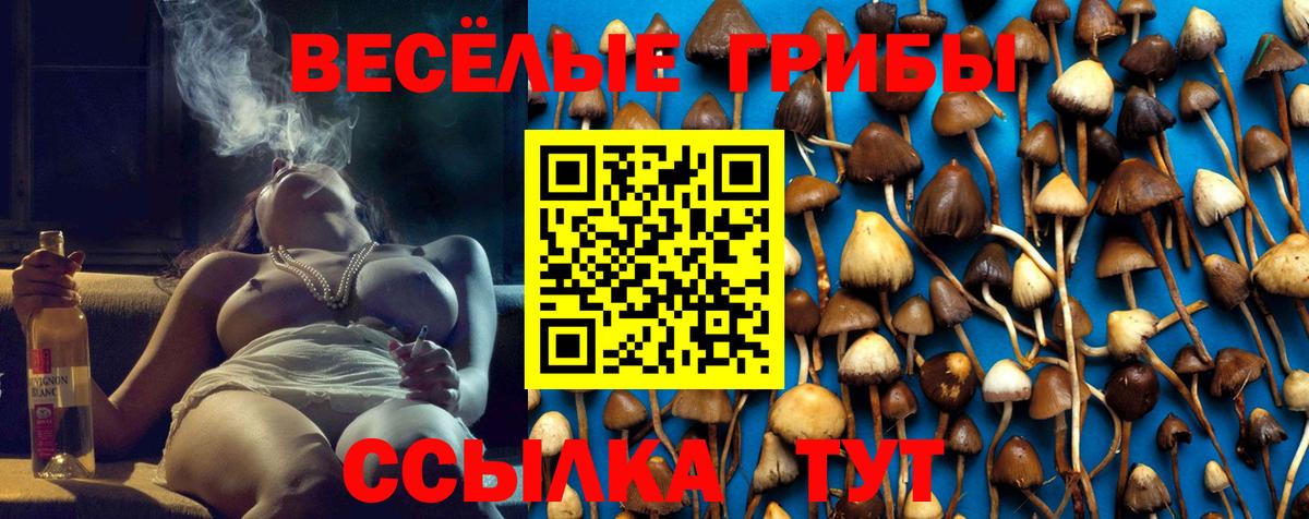 Петрозаводск  Галлюциногенные грибы GOLDEN TEACHER  Вход с VPN 